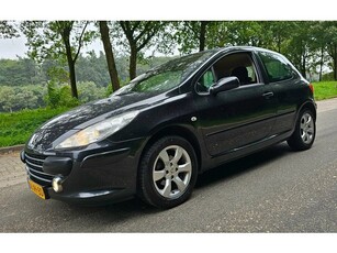 Peugeot 307 1.6-16V Premium 30-05-2025 APK 2e Eigenaar