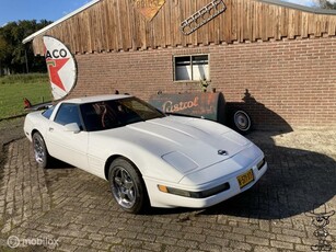 Chevrolet USA Corvette 5.7 Targa LT1