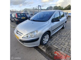 Peugeot 307 1.6-16V XS, NW APK Bij Aflevering