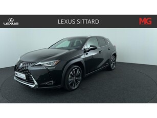 Lexus UX 250h Business Line incl Trekhaak