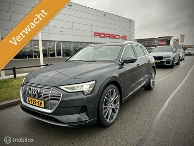 Audi e-tron e-tron 50 quattro Panoramadak, Leder, 22 inch