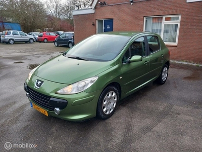 Peugeot 307 1.4-16V XT