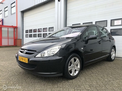 Peugeot 307 Benzine