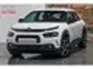 Citroen C4 CACTUS 1.2 PureTech Business I Rijklaarprijs