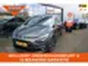 Citroen Grand C4 SpaceTourer 1.2 PureTech Business NAVI 360 CAMERA MASSAGE 7PERSOONS RIJKLAARPRIJS!!