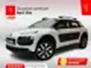 Citroën C4 Cactus PureTech 82 Shine Panoramadak Camera achter