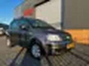 Fiat Panda 1.2 Edizione Cool