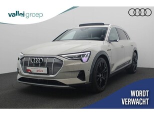 Audi e-tron 55 360PK quattro Advanced 95 kWh 360 Camera