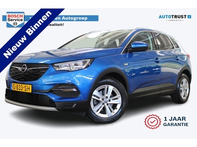 Opel Grandland X 1.2 Turbo Business Executive Incl 1 jaar