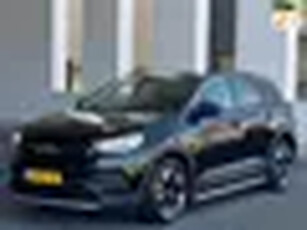 Opel Grandland X 1.2 Turbo AUTOMAAT Business Executive, panoramadak, vele opties, nl auto met nation