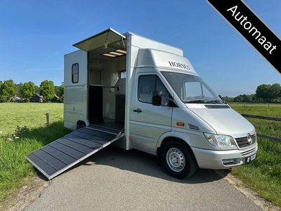 Mercedes-Benz Sprinter 2-paards paardenvrachtwagen Automaat