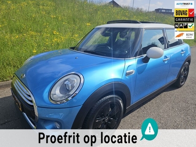 Mini Mini 1.5 Cooper Pepper Business