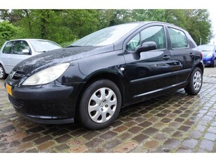 Peugeot 307 1.6-16V XS Pack verwarmd leer airco nw apk bij