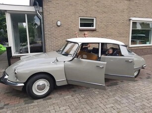 MG oldtimers gezocht Wanted