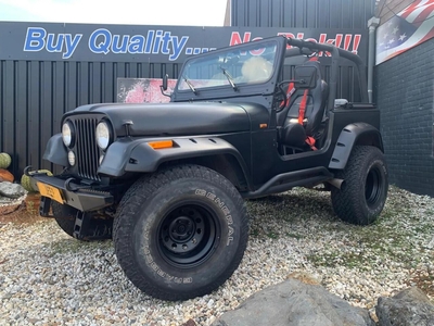 Jeep Wrangler -4.0i-THE BLACK FATBOY-, oldtimer, bj 1994