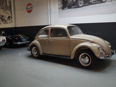 Volkswagen Beetle Benzine