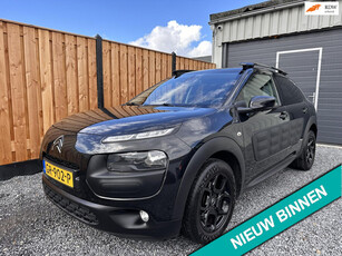 Citroen C4 Cactus 1.2 PureTech Business Camera | Stoelverw.