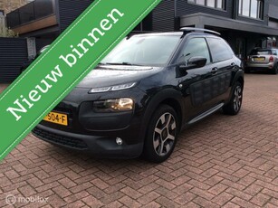 Citroen C4 Cactus 1.2 PureTech Business Plus Navi Nap 17