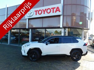 Toyota RAV4 2.5 Hybrid Bi-Tone (bj 2019, automaat)