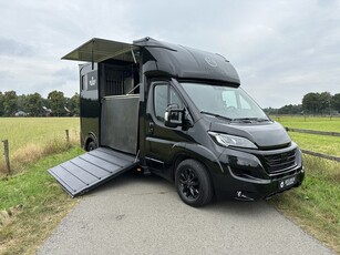 Fiat Ducato 2-paards paardenvrachtwagen automaat