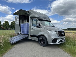 Mercedes-Benz Sprinter 314 AMG 2-paards paardenvrachtwagen