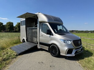 Mercedes-Benz Sprinter 314 AMG 2-paards paardenvrachtwagen