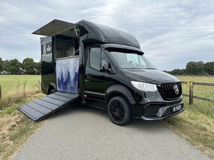 Mercedes-Benz Sprinter 315 AMG 2-paards paardenvrachtwagen