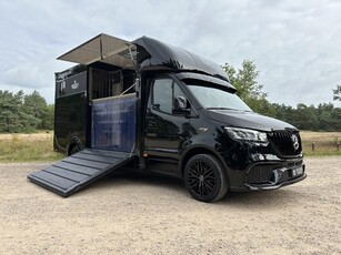 Mercedes-Benz Sprinter 319 AMG 2-paards paardenvrachtwagen