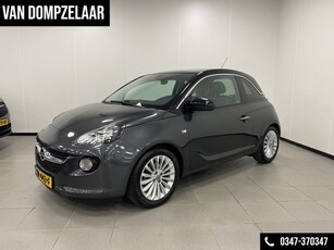 Opel ADAM 1.4 Hardwell Edition / PANODAK / H.LEDER /