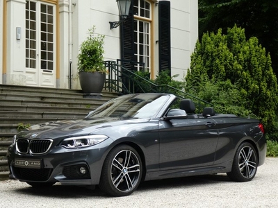 BMW 2 Serie Cabrio 220i M-pakket, LED adaptief (bj 2018)