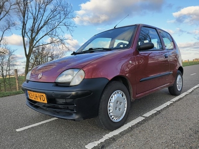 Fiat Seicento 1.1 S Leuke startersauto (bj 2003)