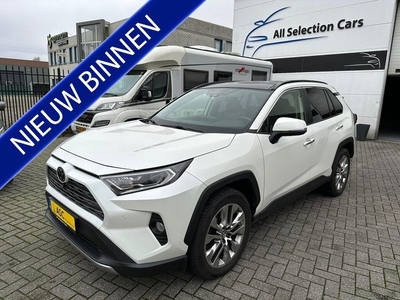 Toyota RAV4 2.0 VVT-iE Executive 4WD Alle opties! Automaat