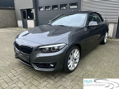 BMW 2-serie Cabrio 218i Executive/AUTOMAAT/LEER/NAVI/CRUISE