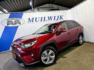 Toyota RAV 4 2.5 Hybrid Dynamic / Navi 360 Camera NL Auto