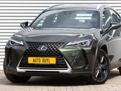 Lexus UX250h Luxury Line Leer Navi / Carplay