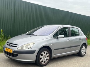 Peugeot 307 1.6-16V XS