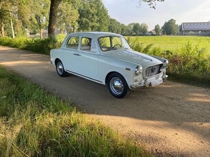 Lancia APPIA III SERIE Bouwjaar 1959 / NL kenteken