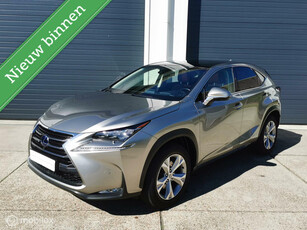 Lexus NX 300h AWD President Line