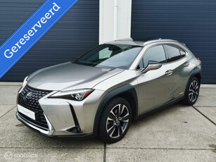 Lexus UX 250h AWD Executive Line | Mark-Levinson| Schuifdak