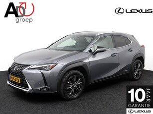 Lexus UX 250h First Edition Elektrisch bedienbare