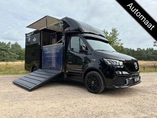 Mercedes-Benz Sprinter 319 AMG 2-paards paardenvrachtwagen