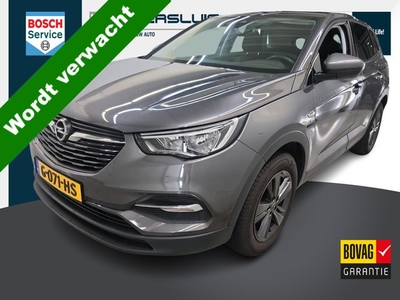 Opel Grandland X 1.2 Turbo 120 Jaar Edition + Navi