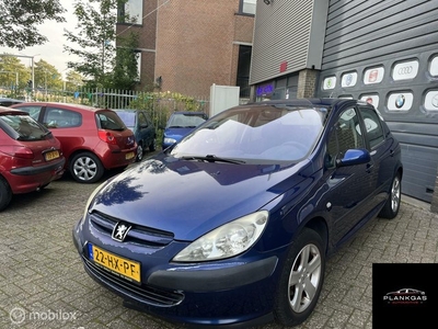 Peugeot 307 1.6-16V XS