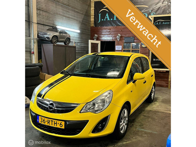 Opel Corsa 1.3 CDTi EcoFlex S 2de eig! APK Airco Cruise