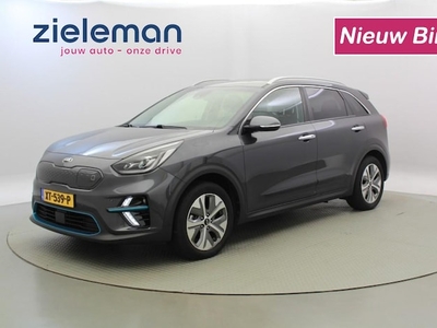 Kia e-Niro Elektriciteit