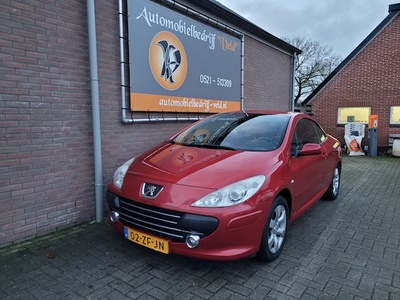 Peugeot 307 Benzine