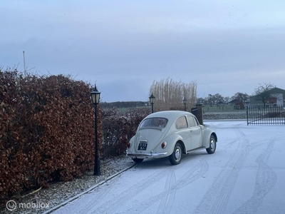 Volkswagen Kever 1300 Type 117 Origineel Nederlands 1e