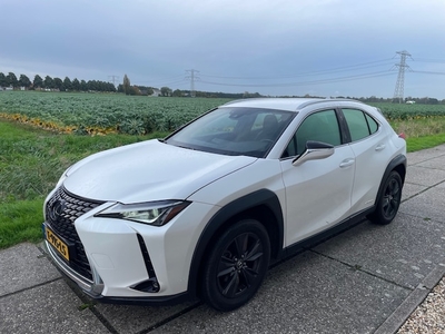 Lexus UX Benzine