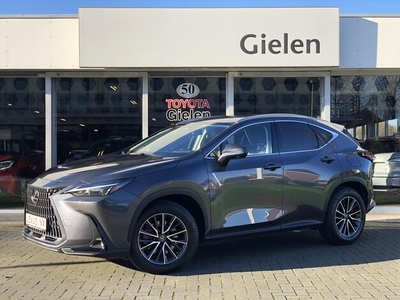 Lexus NX Benzine