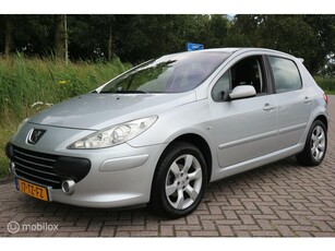 Peugeot 307 1.6-16V XS